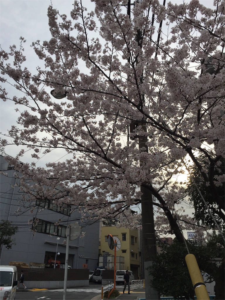 f:id:xiahxx:20160406203442j:image f:id:xiahxx:20160406203442j:image
