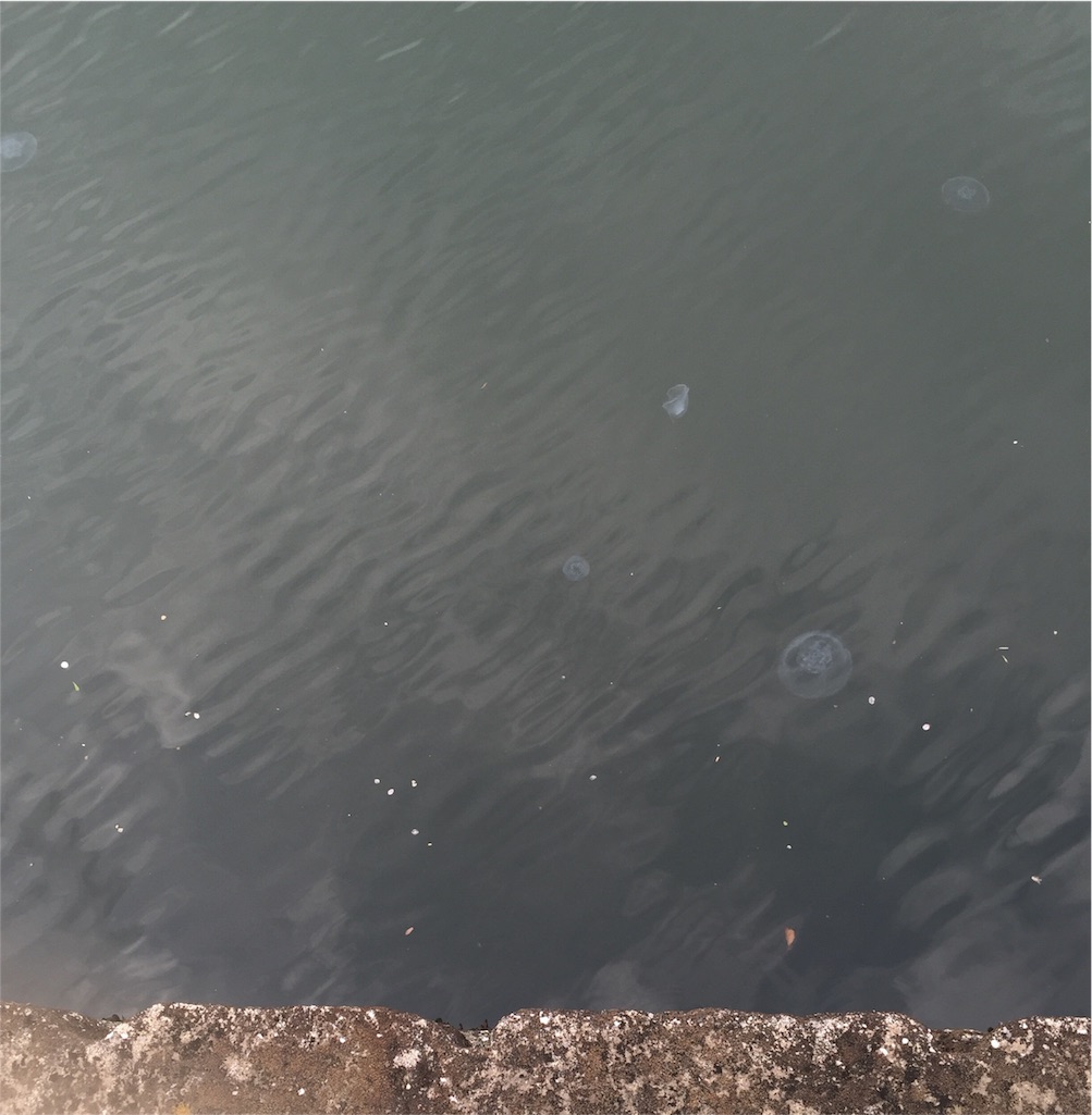 f:id:xiahxx:20160413184800j:image f:id:xiahxx:20160413184800j:image