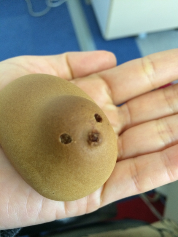 f:id:xiaomeinikki:20150424173010j:plain f:id:xiaomeinikki:20150424173010j:plain