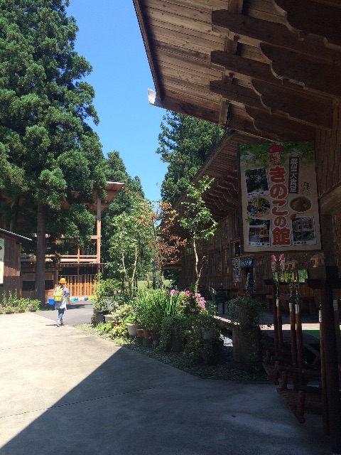 f:id:xiaomeinikki:20150711202841j:image f:id:xiaomeinikki:20150711202841j:image