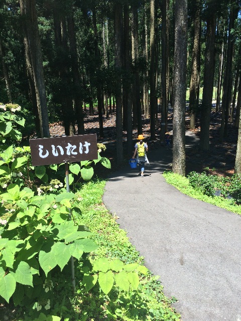 f:id:xiaomeinikki:20150711204026j:image f:id:xiaomeinikki:20150711204026j:image