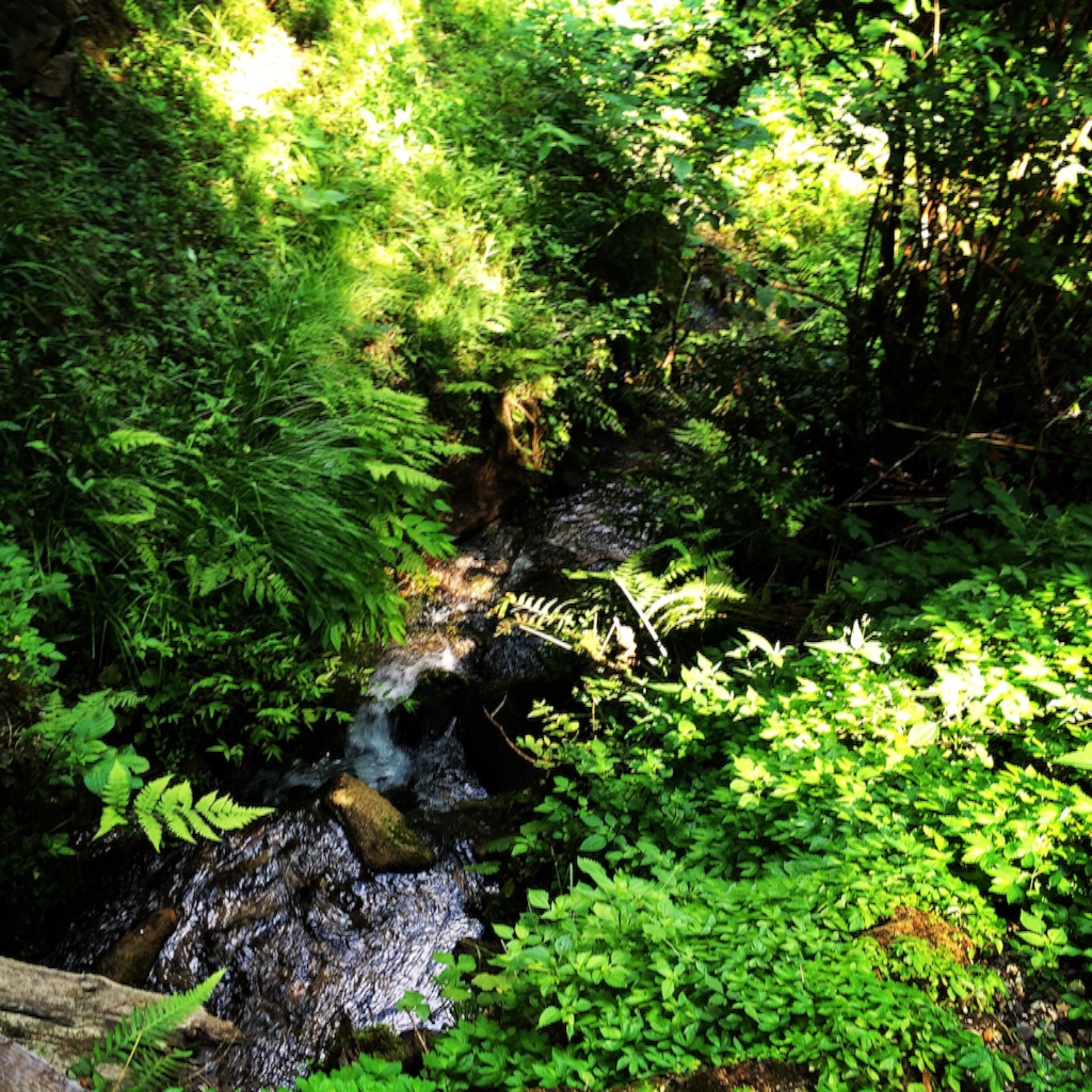 f:id:xiaomeinikki:20150816174417j:image f:id:xiaomeinikki:20150816174417j:image