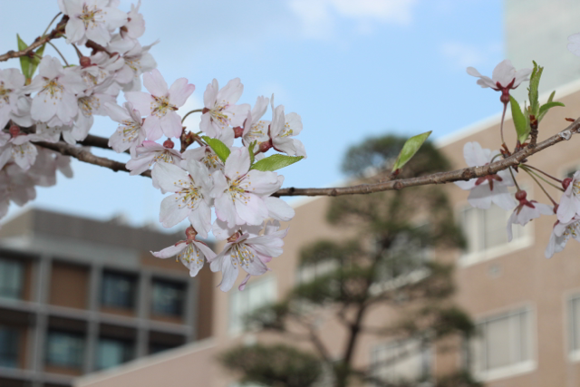 f:id:xibbar:20120426224229p:image f:id:xibbar:20120426224229p:image