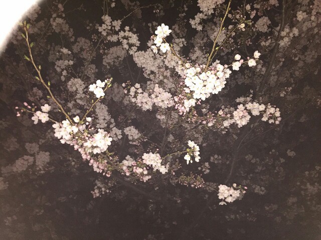 f:id:xiukj:20160719113900j:image f:id:xiukj:20160719113900j:image