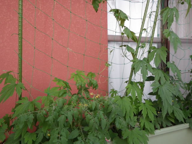 f:id:xnissy:20110613183721j:image:w320 f:id:xnissy:20110613183721j:image:w320