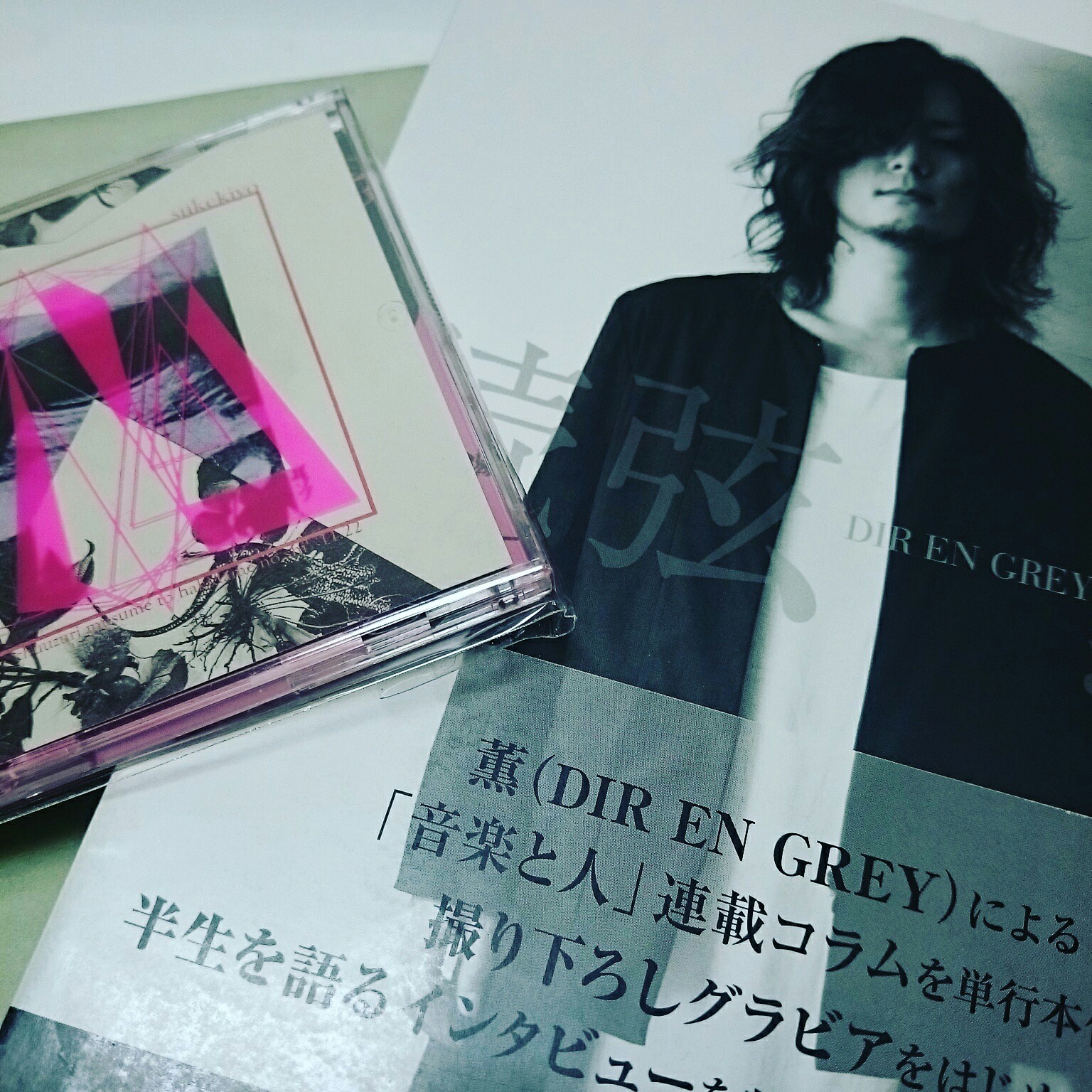 DIR EN GREY 薫 読弦 見易かっ