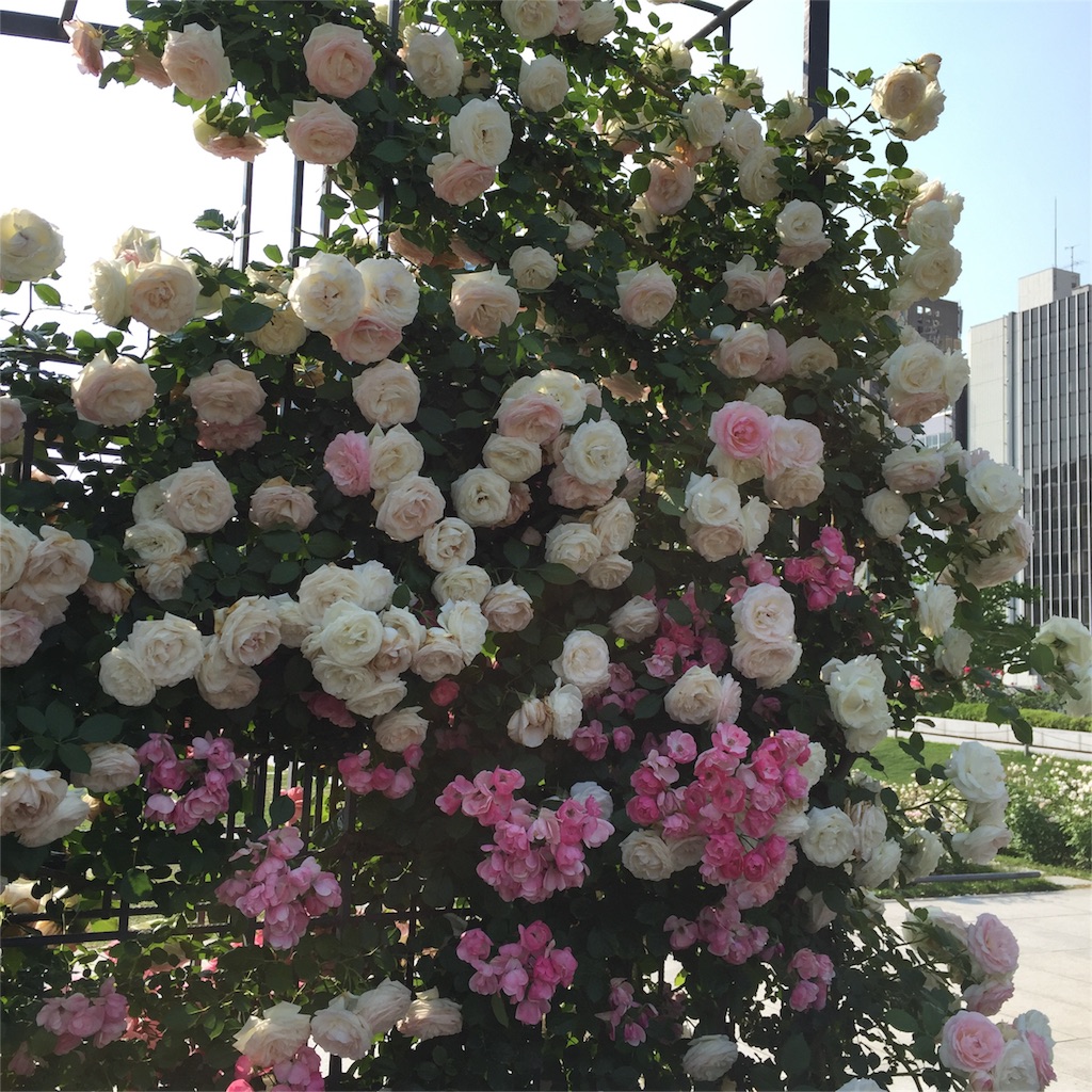 f:id:xoxomomonger:20160522140640j:image f:id:xoxomomonger:20160522140640j:image
