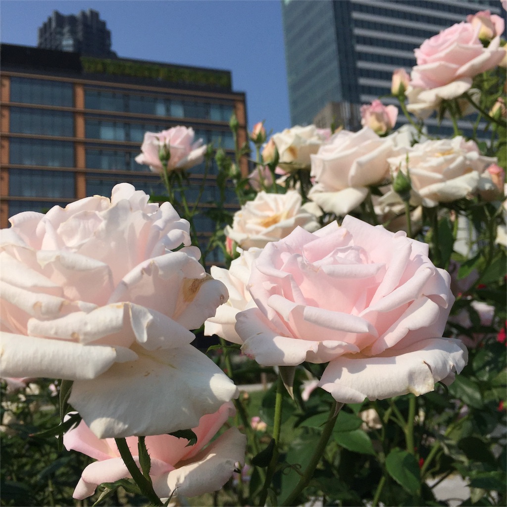 f:id:xoxomomonger:20160522140723j:image f:id:xoxomomonger:20160522140723j:image