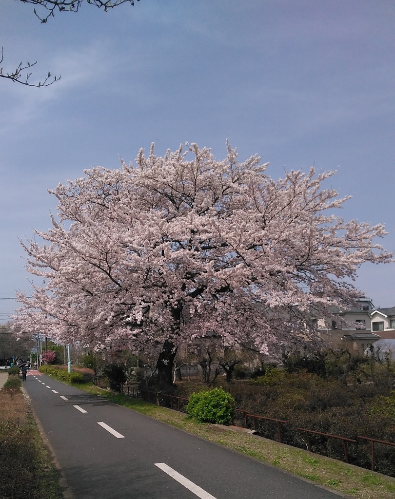 f:id:xskawabe:20160407090858j:plain f:id:xskawabe:20160407090858j:plain