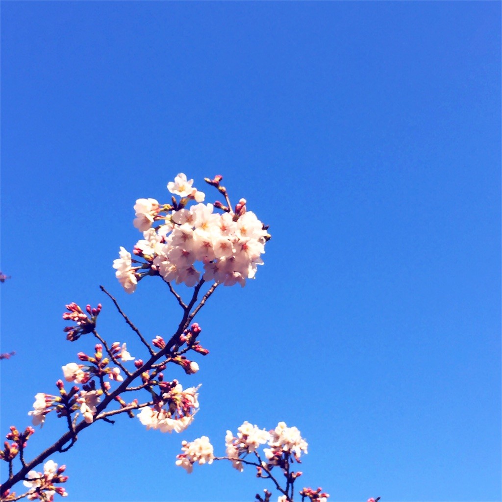 f:id:xxhelloxx:20160401230609j:image f:id:xxhelloxx:20160401230609j:image