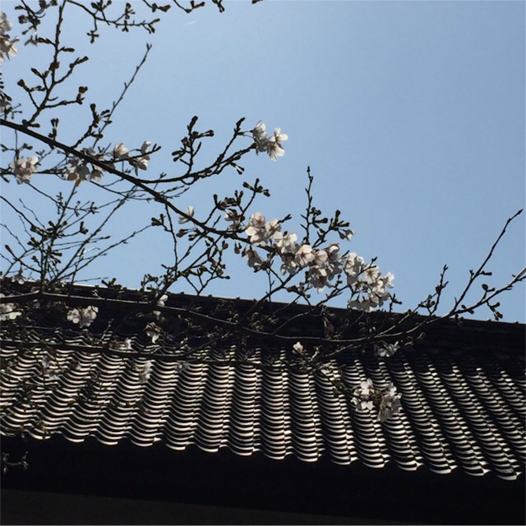 f:id:xxhelloxx:20160402233056j:image f:id:xxhelloxx:20160402233056j:image