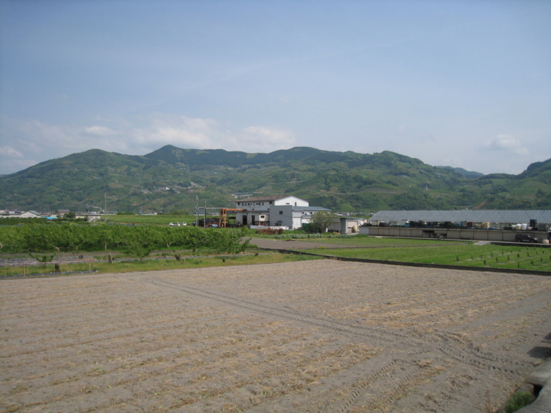 f:id:xxx-quince-xxx:20090502140944j:image f:id:xxx-quince-xxx:20090502140944j:image