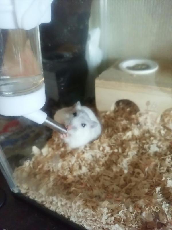 f:id:xxx-ume-02:20160108144506j:plain