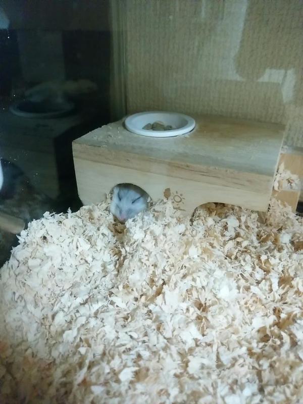 f:id:xxx-ume-02:20160108145848j:plain