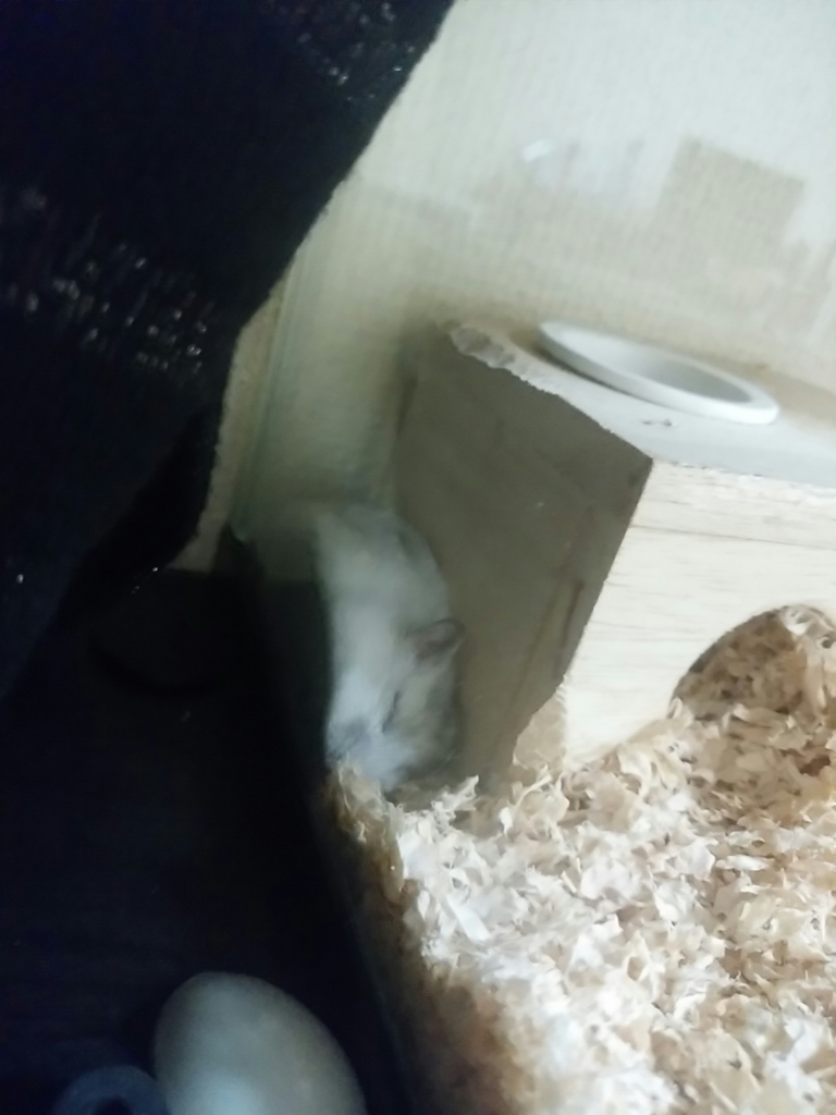 f:id:xxx-ume-02:20160110012015j:plain