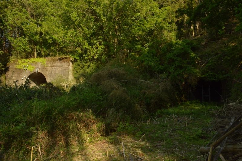 f:id:xylitol13:20140510162722j:plain