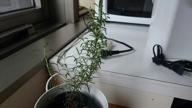 f:id:y-garden:20160404084032j:image f:id:y-garden:20160404084032j:image