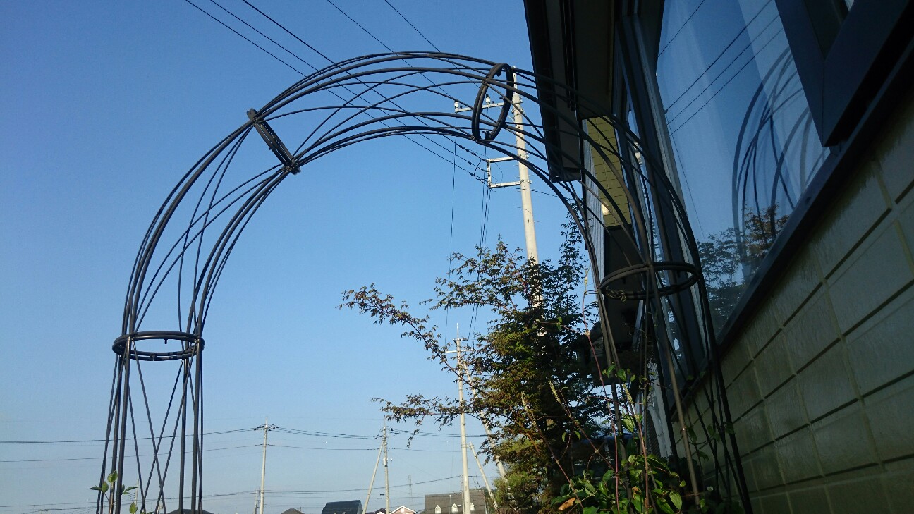 f:id:y-garden:20160419063536j:image f:id:y-garden:20160419063536j:image
