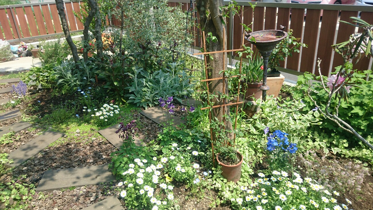 f:id:y-garden:20160501210449j:image f:id:y-garden:20160501210449j:image