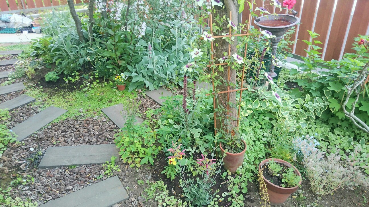 f:id:y-garden:20160528185944j:image f:id:y-garden:20160528185944j:image