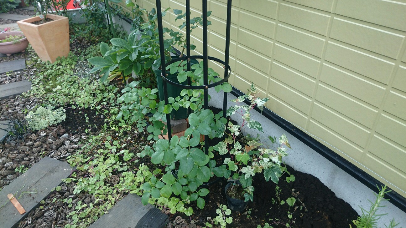 f:id:y-garden:20160620173003j:image f:id:y-garden:20160620173003j:image