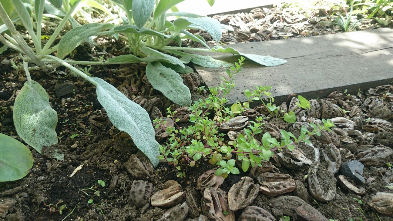 f:id:y-garden:20160627212630j:image f:id:y-garden:20160627212630j:image