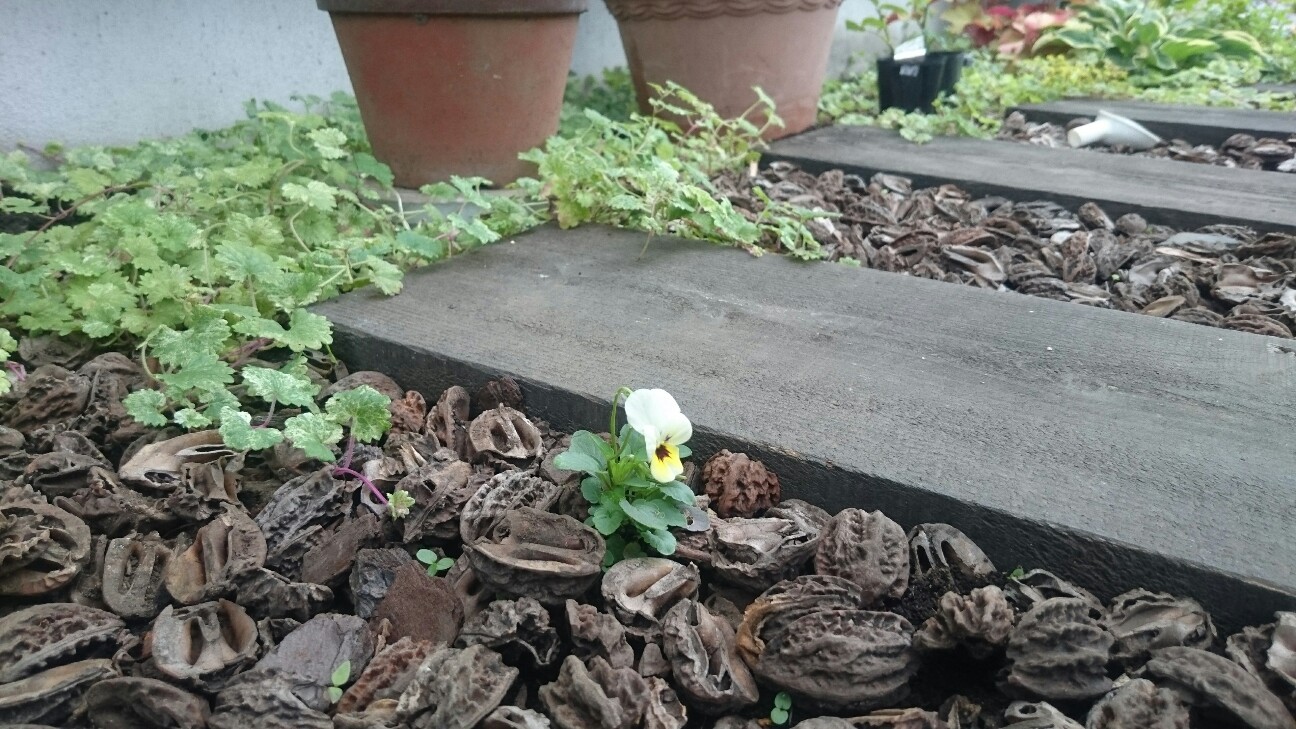 f:id:y-garden:20160704111406j:image f:id:y-garden:20160704111406j:image