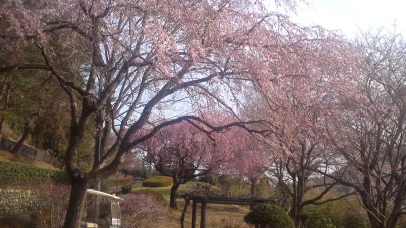 f:id:y-kanemura:20140402075659j:plain f:id:y-kanemura:20140402075659j:plain