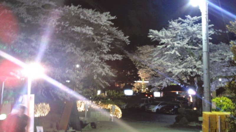 f:id:y-kanemura:20140412191137j:plain f:id:y-kanemura:20140412191137j:plain