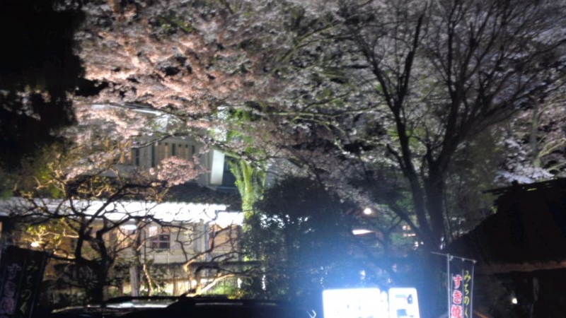 f:id:y-kanemura:20140412203450j:plain f:id:y-kanemura:20140412203450j:plain