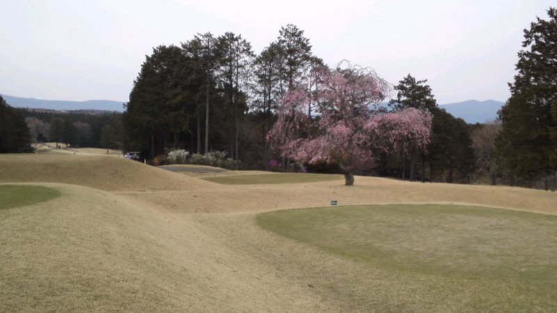 f:id:y-kanemura:20140413141008j:plain f:id:y-kanemura:20140413141008j:plain