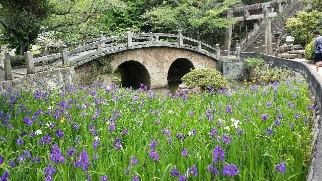 f:id:y-monta:20160515160014j:image f:id:y-monta:20160515160014j:image