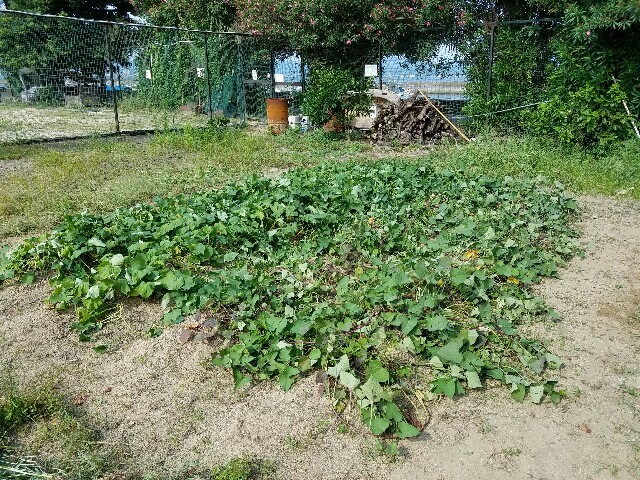 f:id:y-monta:20160726222104j:image f:id:y-monta:20160726222104j:image