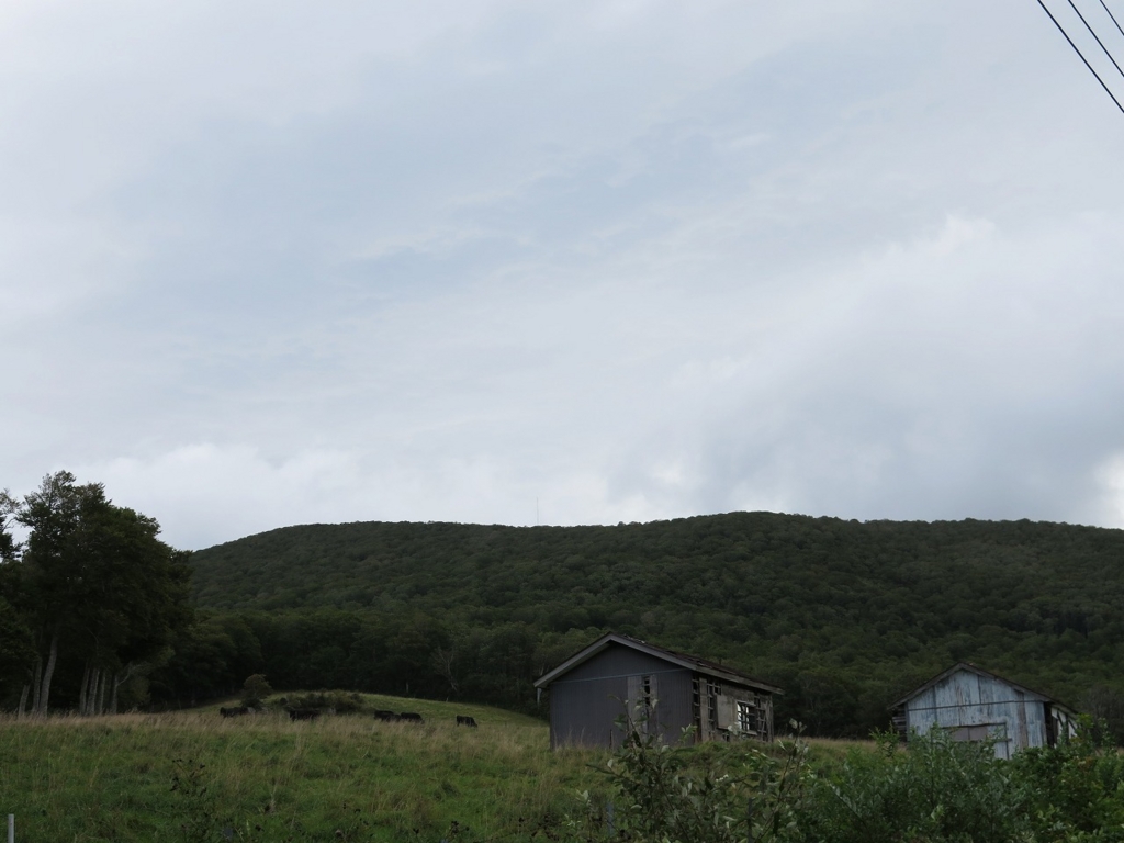 f:id:y0my:20151011233756j:plain