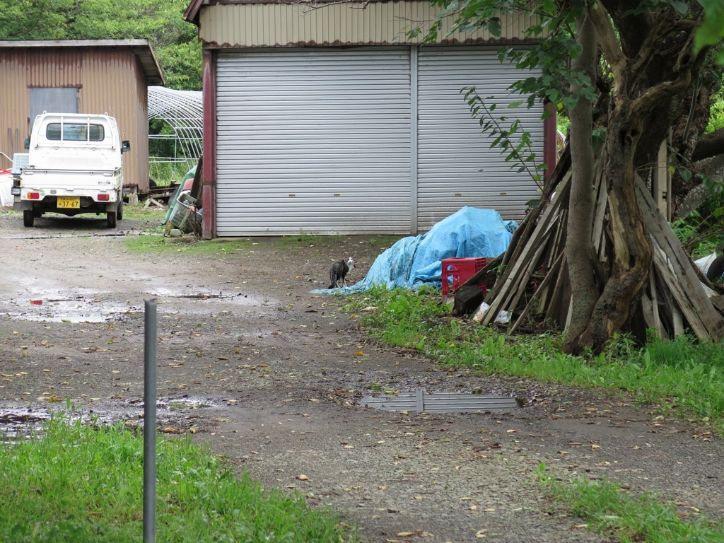 f:id:y0my:20151011233833j:plain