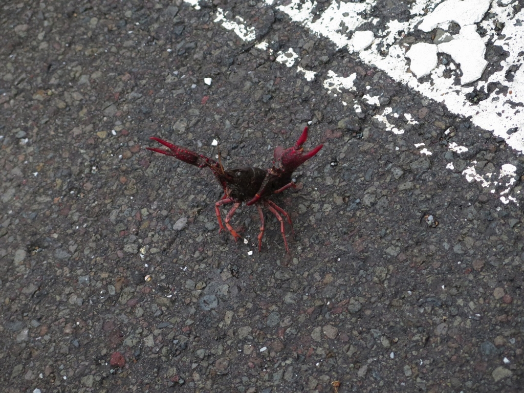 f:id:y0my:20151022024109j:plain