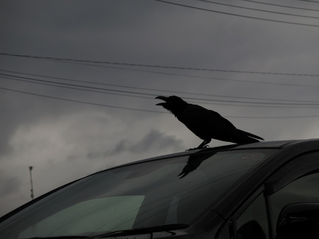 f:id:y0my:20151022024112j:plain