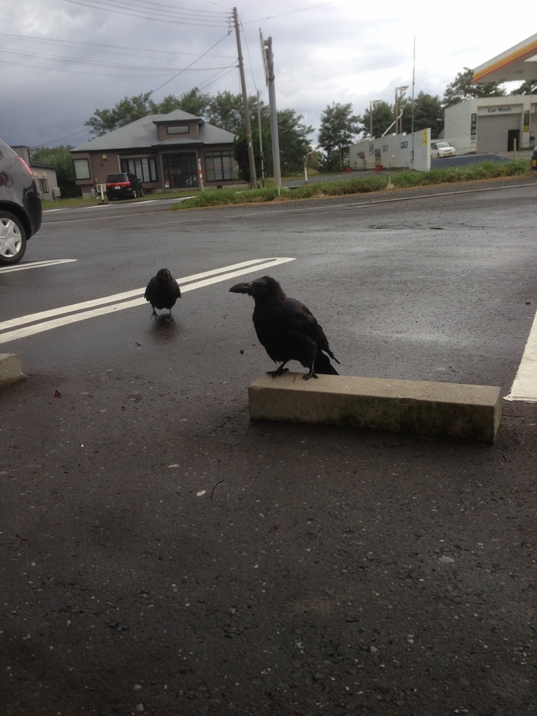 f:id:y0my:20151022025514j:plain