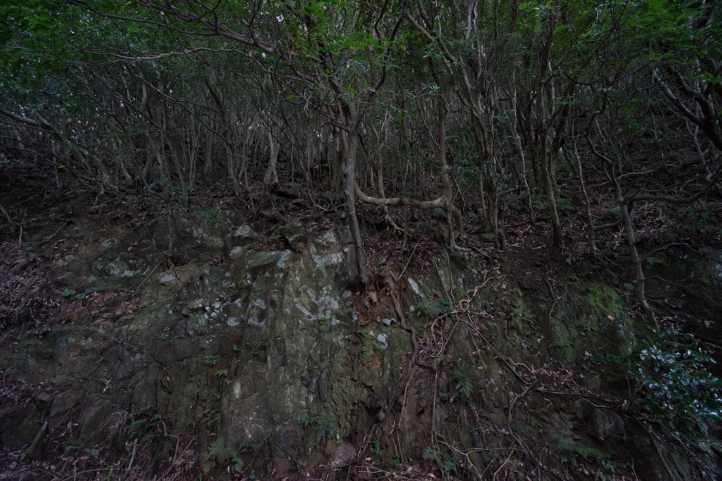 f:id:y0my:20160413214059j:plain