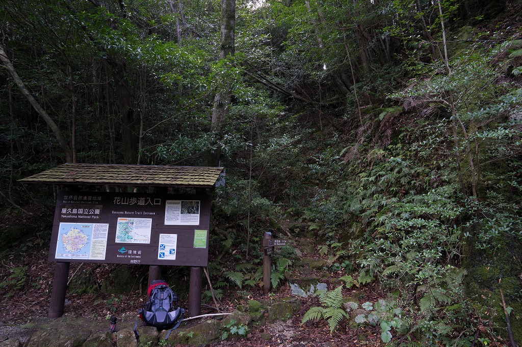 f:id:y0my:20160413214121j:plain