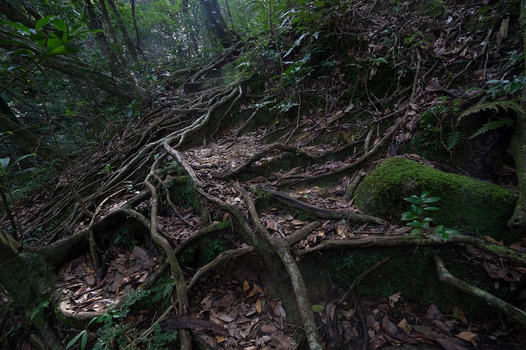 f:id:y0my:20160413214123j:plain