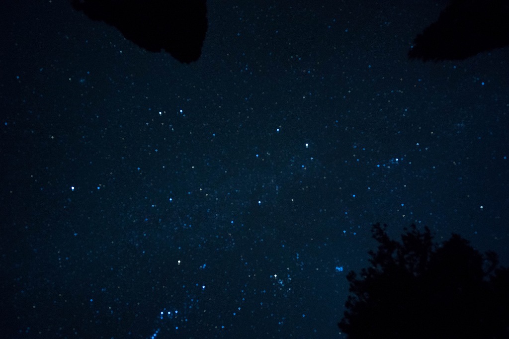 f:id:y0my:20160413214216j:plain