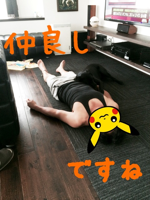 f:id:y20130801:20140806141326j:plain f:id:y20130801:20140806141326j:plain