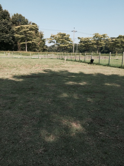 f:id:y20130801:20140808114326j:plain f:id:y20130801:20140808114326j:plain
