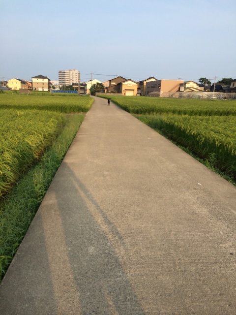 f:id:y20130801:20140908213849j:plain f:id:y20130801:20140908213849j:plain