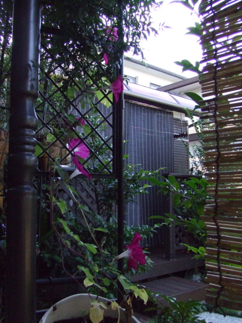 f:id:y77:20110804074851j:plain f:id:y77:20110804074851j:plain