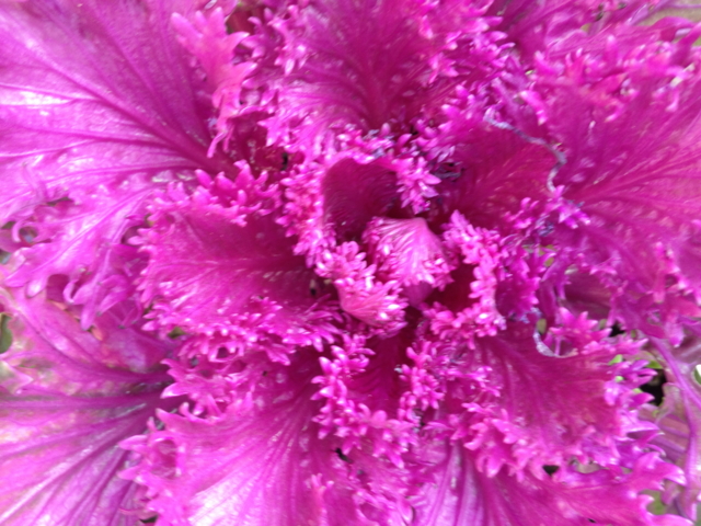 f:id:y77:20130223145238j:plain f:id:y77:20130223145238j:plain