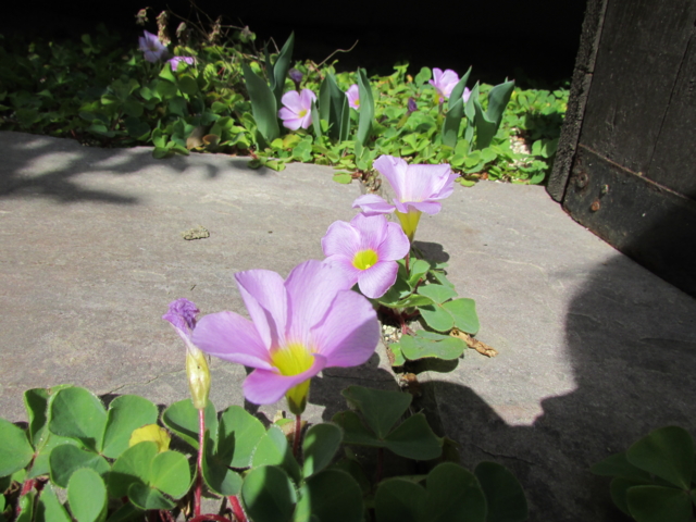 f:id:y77:20130312134414j:plain f:id:y77:20130312134414j:plain