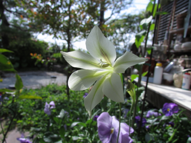 f:id:y77:20130429145021j:plain f:id:y77:20130429145021j:plain