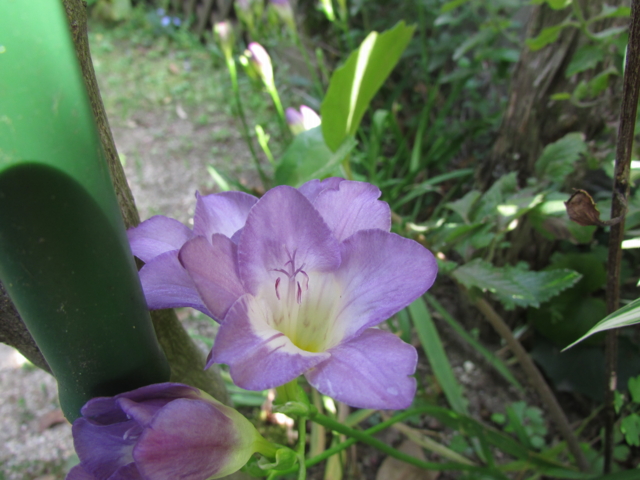 f:id:y77:20130429145124j:plain f:id:y77:20130429145124j:plain